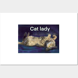 Catt ladie Posters and Art